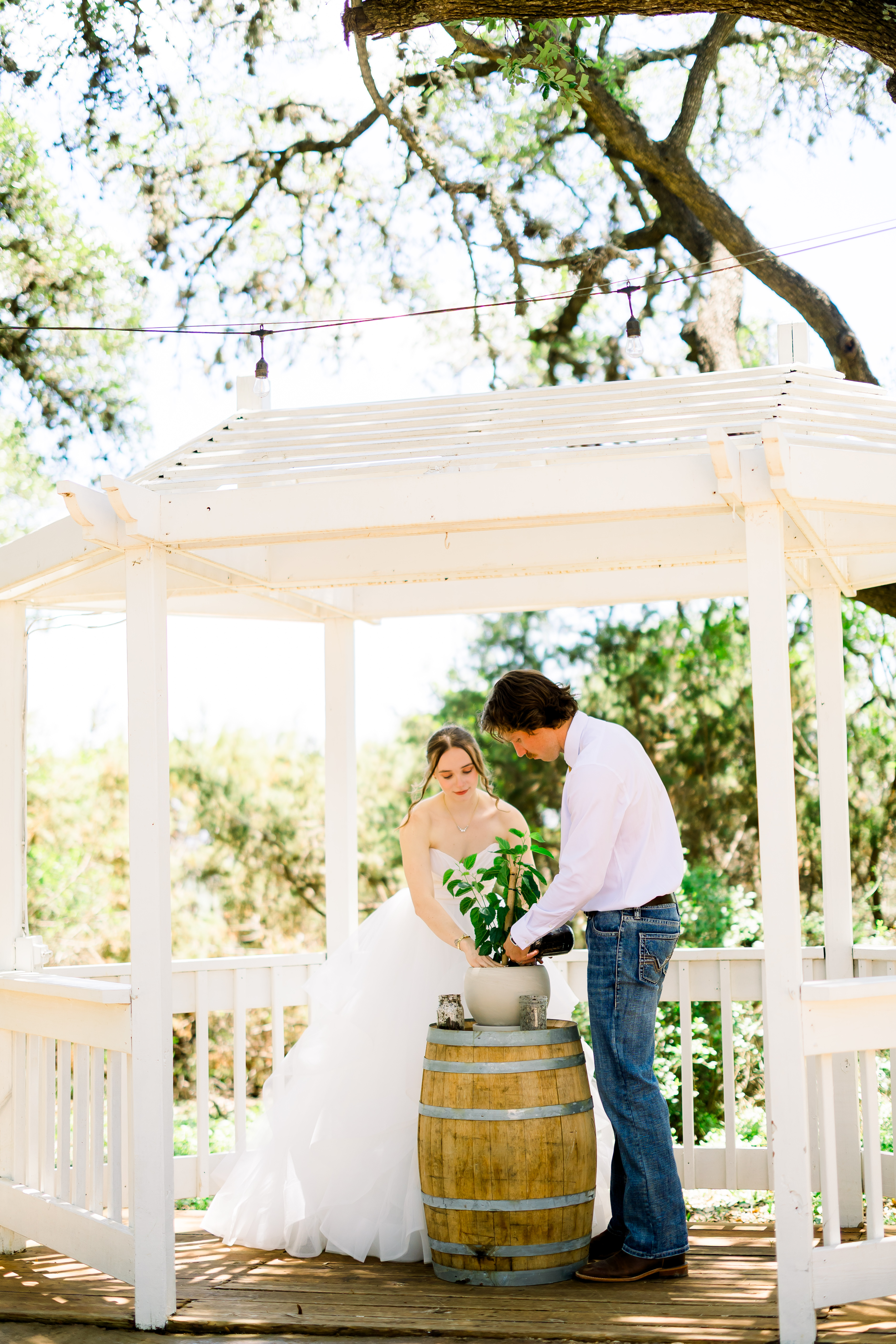 Planting a tree together in the gazebo